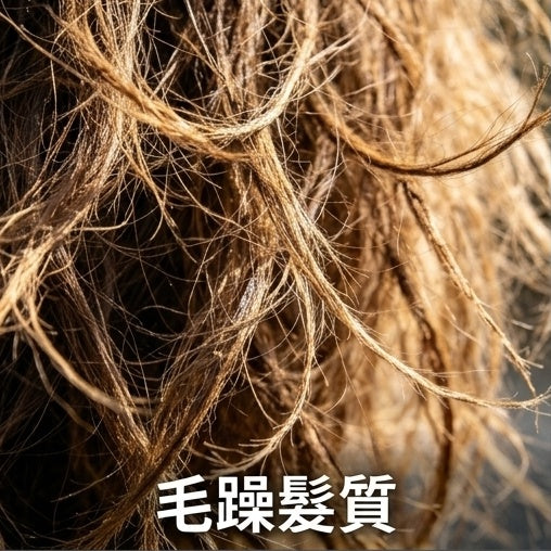 髮質受損
